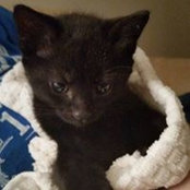 Jacque McBrien's photo