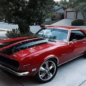Debbie Rogers's photo