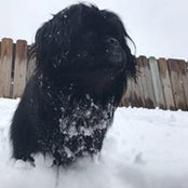 Foto di Uma Morgan