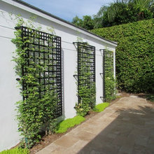 New House Landscaping