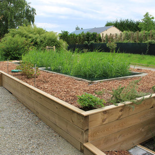 Phytoépuration Aquatiris