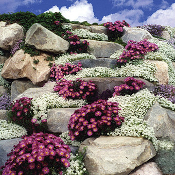 Rock Retaining Walls