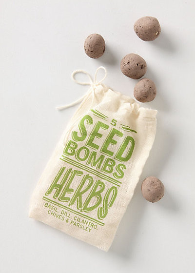 Contemporary Bulbs And Seeds by Anthropologie