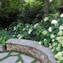 landscape/garden