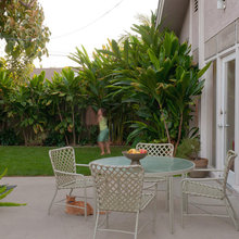 Patio Ideas