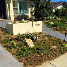 Landscape Ideas
