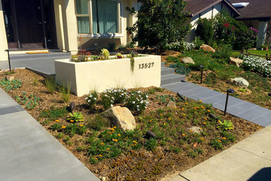 Modern front yard xeriscape in San Diego with a container garden and natural stone pavers.