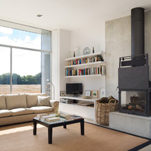 wood burning stove