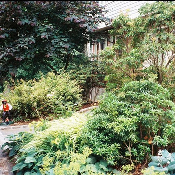 Front entry garden