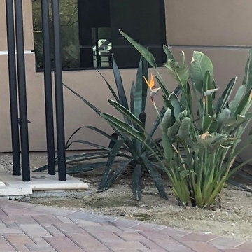 Paradise Valley Update Before Right Entry.