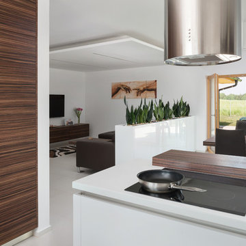 Macassar veneer and white lacquer in modern interior