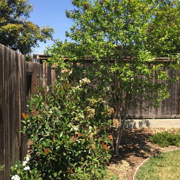 Cowles mountain view backyard retreat