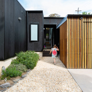 Charred Timber House