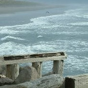 Foto von Judy Wheeler Wade