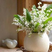 Patricia Thompson's photo