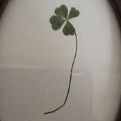 Crystal Matheny's photo