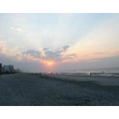 Kara Grove's photo