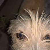 Paul LeBlanc's photo