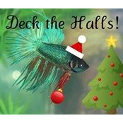 Amy Feazel's photo