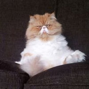 Miguel Moraleda Albares's photo