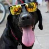 Steven Knurr's photo