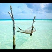 David Huestess's photo