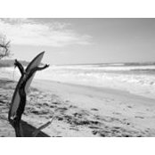 Stacey Doyle's photo