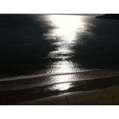 Elena Girardello's photo