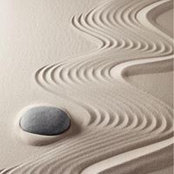 Nicole Taylor's photo