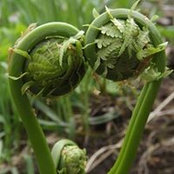 Susan Howard's photo