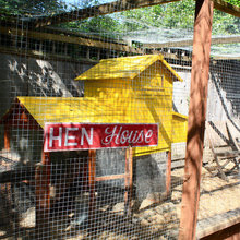 chicken coop