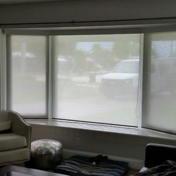 Roller and Solar Shades