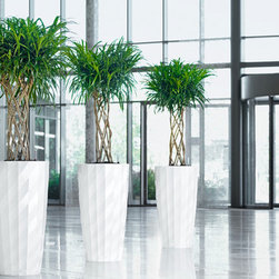 Lechuza - Home Decor