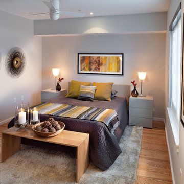 Apartment Zero Modern Color