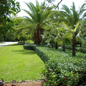 Modern Gardens