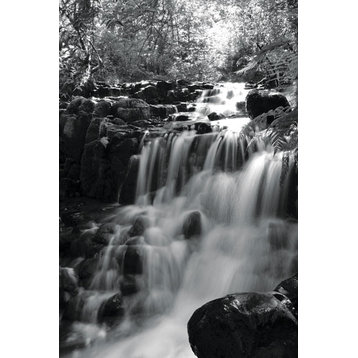 Fine Art Photograph, BW Falls in the Forest III, Fine Art Paper Giclee