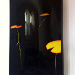 Water Lilies 0689, 52" x 35" - Photographs