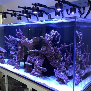 Custom Tank Lights