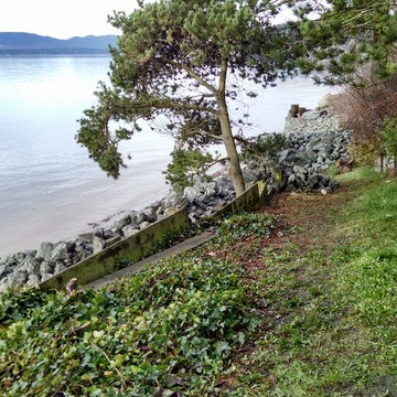 Samish Island Seawall