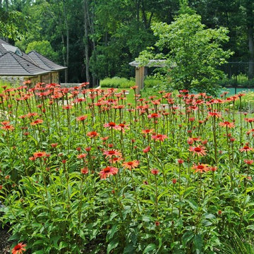 Deer Resistant Landscapes