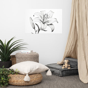 Gentle Awakening Lily Pencil Sketch Charcoal Digital Art Loose Print