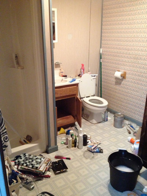 Redo Of College Boy Bathroom To Guest Bath