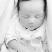 Laurent Potage's photo