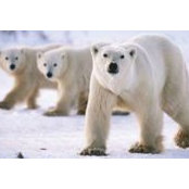 Stewart Miller's photo