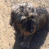 Ilo Birdieさんの写真