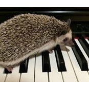 Paul Lintilhac's photo