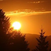 Wendy Wile's photo