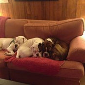 Jennifer McGinley's photo