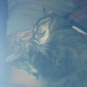 Leyla Bolca Peterson's photo