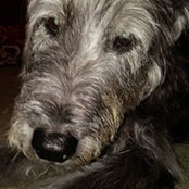 Carol Wells's photo